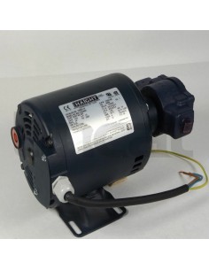 Lincat Spare Part Oil Pump and Motor OP01