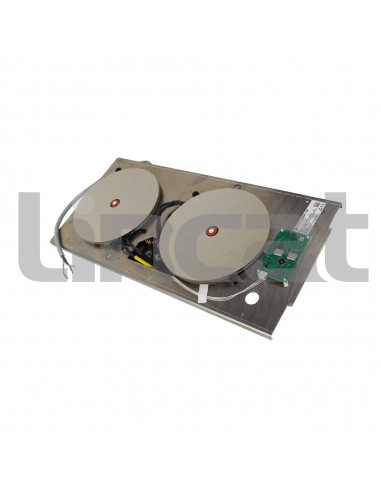 Twin Coil Induction Generator lincat spare part IM030